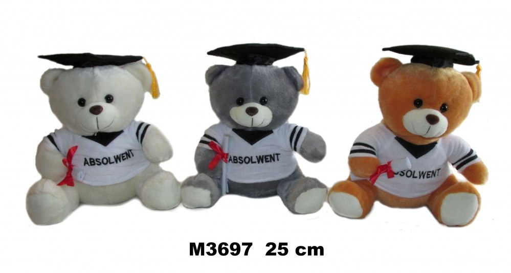 PELUCHE TOY BOW 25CM ASSIS EN VÊTEMENT DIPLÔMÉ SA DIMANCHE